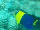 2015-9-21 石垣 (162) (650x488)