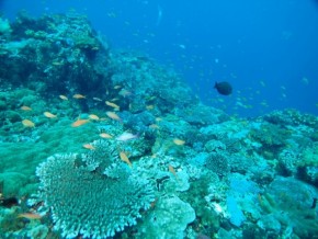 2015-4-18 口之島 (44) (650x488)