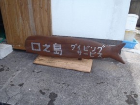 2015-4-18口之島 (33) (650x488)