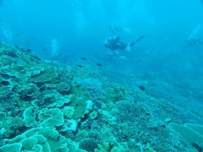 2015-4-18 口之島 (59) (650x488)